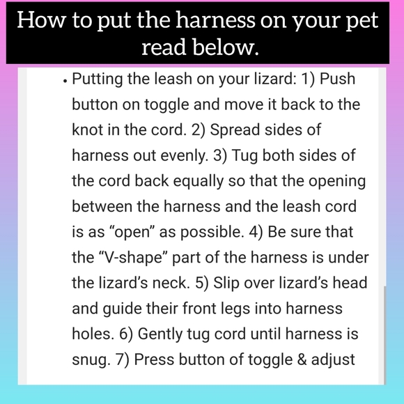 5/$25 Variety bearded dragon, lizard, turtle, iguana harness leash sets - Picture 10 of 13